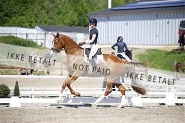 181449_kbb_01_6II9136.JPG