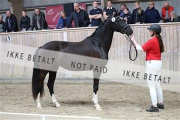 181887_tbj_01_R62_3128.JPG