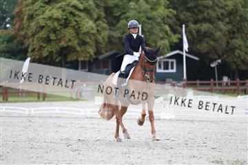181923_mtp_01_R62_6222.JPG