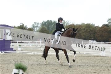 181923_mtp_04_R62_8338.JPG
