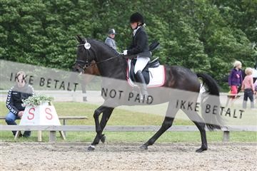 135518_ms_01_IMG_1918.JPG