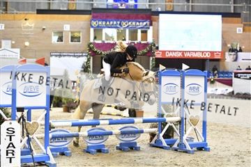 161006_abo_01__D050752.JPG