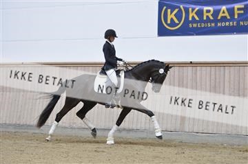 160111_nn_01__ESK1924.JPG