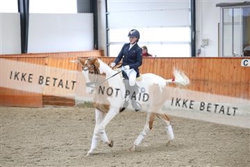 175681_avh_01_R62_0757.JPG