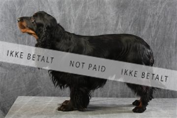 129608_le_ 01_0803.JPG