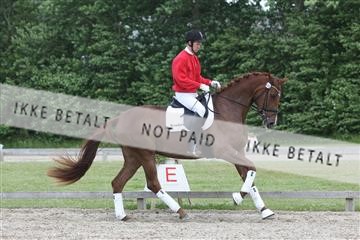 135518_ms_02_IMG_2879.JPG