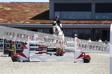 181436_avh_02_3852.JPG