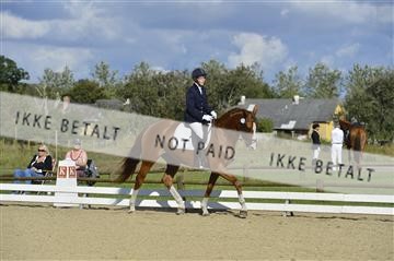 136195_abo_01__AB16526.JPG