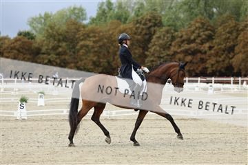 181923_mtp_03_R62_7236.JPG