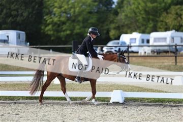 181894_mtp_05_R62_5235.JPG