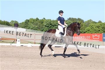 181449_bc_01R62_6254.JPG