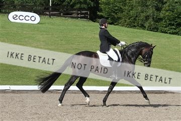 135676_sg_03_IMG_9830.JPG