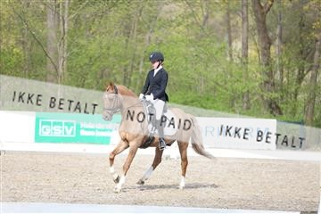 174512_mtp_01_3M5A7213.JPG