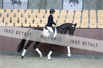 181852_mtp_02_R62_1612.JPG