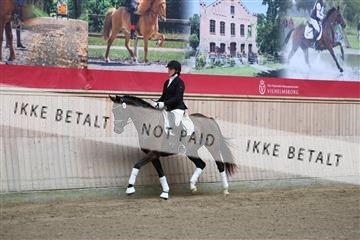 181887_mtp_01_R62_6581.JPG
