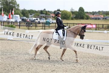 181894_mtp_02_R62_1680.JPG