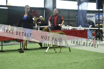 163793_bkn_01__BKN9383.JPG
