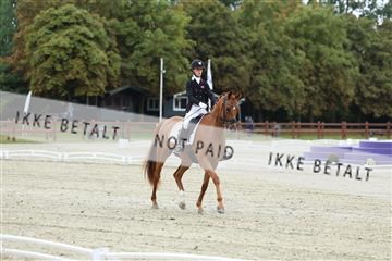 181923_mtp_02_R62_7049.JPG