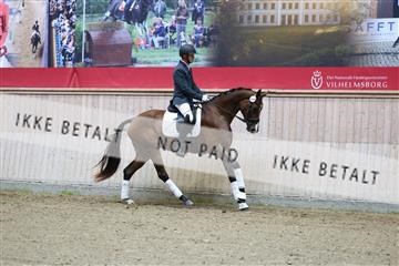 181887_mtp_04_R62_8433.JPG