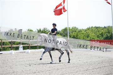 181449_kbb_02_6II0728.JPG