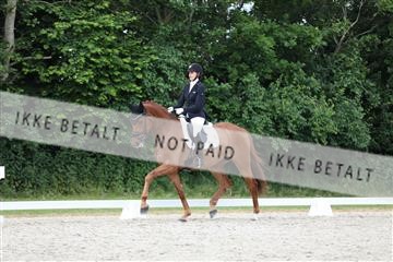 172073_mtp_01_3M5A3128.JPG