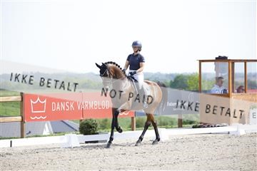 181449_kbb_02_6II1057.JPG