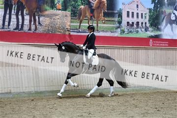 181887_mtp_05_R62_9866.JPG