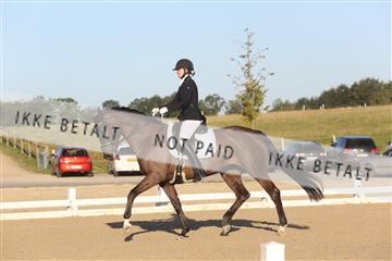 148862_sg_01_IMG_2387.JPG