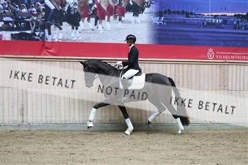 181887_mtp_04_R62_8767.JPG