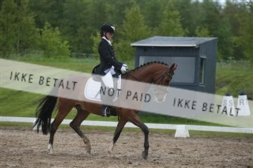 147698_nn_01_IMG_8849.JPG