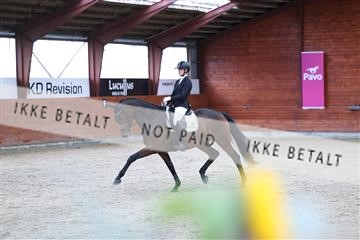 175442_kbb_01_R6II0357.JPG