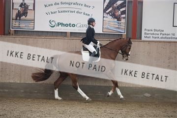 173782_mtp_01_3M5A7069.JPG