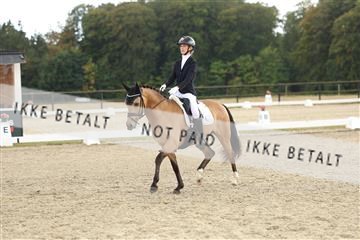 181894_mtp_03_R62_2596.JPG