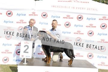 181848_kar_01__62_4064.JPG