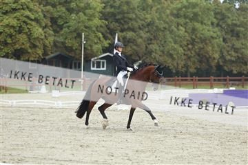 181923_mtp_03_R62_7810.JPG