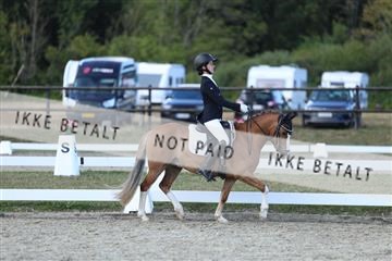 181894_mtp_05_R62_5369.JPG