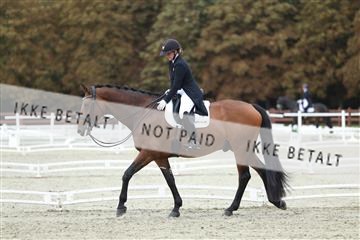 181923_mtp_04_R62_8907.JPG
