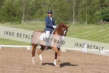 147698_nn_01_IMG_0234.JPG