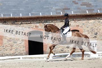 174742_bc_01_R62_2164.JPG