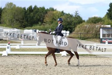 181894_mtp_05_R62_4978.JPG
