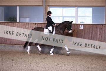 173821_mtp_01_3M5A8366.JPG