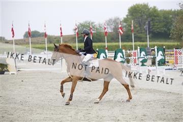 181332_kbb_02_6II5534.JPG