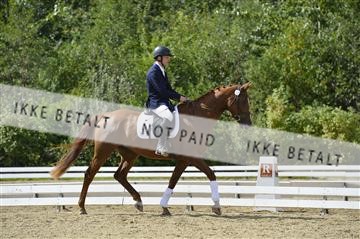136195_abo_01__AB15981.JPG