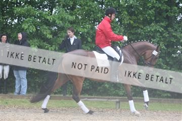 135518_ms_01_IMG_1084.JPG
