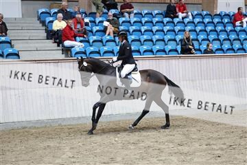 181887_mtp_04_R62_8580.JPG