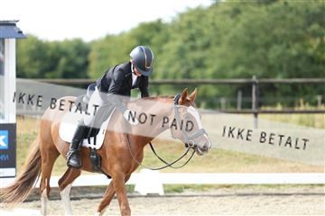 181894_mtp_05_R62_4506.JPG