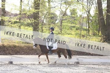 174512_mtp_01_3M5A7040.JPG
