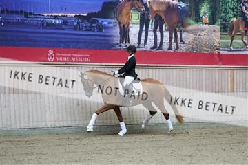 181887_mtp_04_R62_8167.JPG