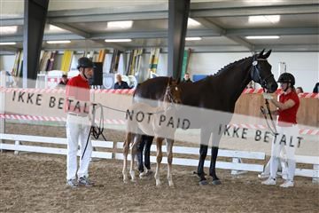 181756_mtp_03_R62_3098.JPG