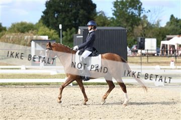 181894_mtp_05_R62_4961.JPG